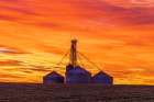 Grain bins silhouetted at sunrise Clay County-Illinois Art Print